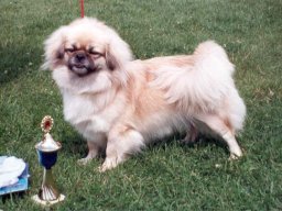 2000 - Klubový šampion